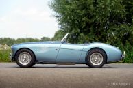 Austin Healey 100/4 BN-1 'Le Mans', 1954