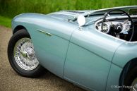 Austin Healey 100/4, 1954