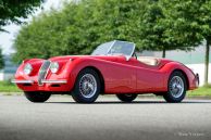 Jaguar XK 120 OTS (Roadster), 1954