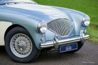 Austin Healey 100/4 (BN1), 1955