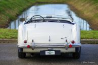 Austin Healey 100/4 BN2, 1955