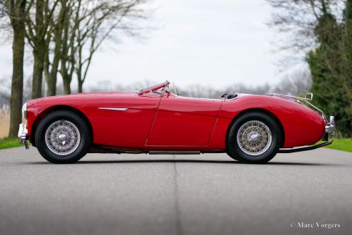 Austin Healey 100/4 BN2, 1956