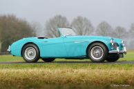 Austin Healey 100/6 ‘two-seater’, 1958