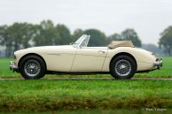 Austin Healey 3000 Mk 3 ph 2, 1965