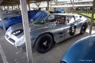 Goodwood 73rd Members Meeting 2015