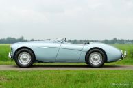 Austin Healey 100/4, 1954