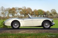 Austin Healey 100/6 BN6, 1957