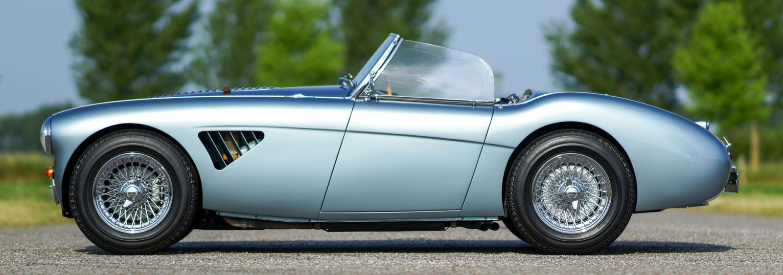 Austin Healey 100/4 (BN1), 1954