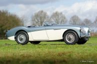 Austin Healey 100/4 (BN1), 1955