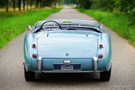 Austin Healey 100/M BN2 “Le Mans”, 1956