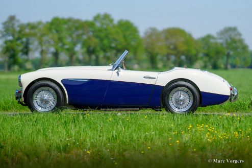 Austin Healey 100/6 ‘two-seater’, 1958