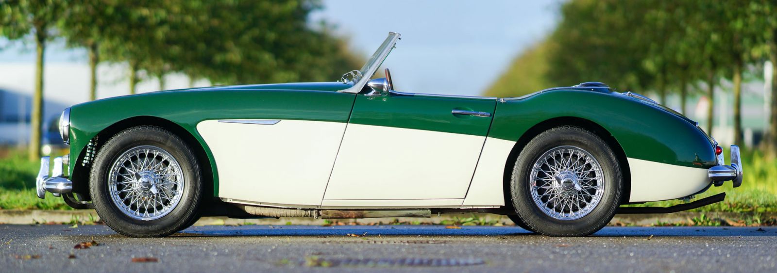 Austin Healey 3000 Mk 1, 1961