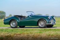 Triumph TR3, 1955