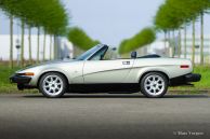 Triumph TR8, 1980