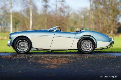 Austin Healey 100/4 BN2, 1956