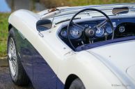 Austin Healey 100/4 BN2, 1955