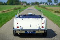 Austin Healey 100/6 BN4, 1959