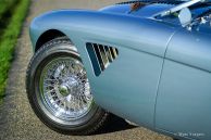 Austin Healey 100/4 BN1 ‘M - Le Mans’, 1954