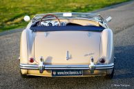 Austin Healey 100/4 BN-1, 1953