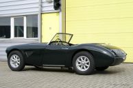 Austin Healey 100/6 rally car project