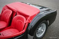 Triumph TR 2 ‘long door’, 1954