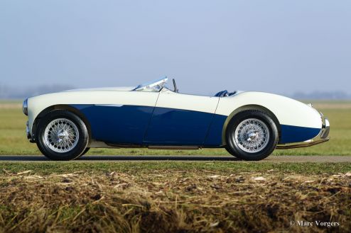 Austin Healey 100/4 BN1, 1955