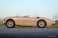 Austin Healey 100/4 BN-1, 1953