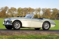 Austin Healey 100/6 BN6, 1957