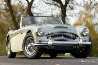 Austin Healey 100/6 BN6, 1957