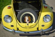 Volkswagen Beetle cabriolet, 1971