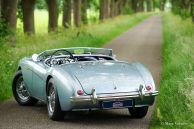 Austin Healey 100/4 BN-1, 1955