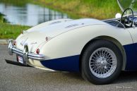 Austin Healey 100/4 ‘Le Mans’, 1955