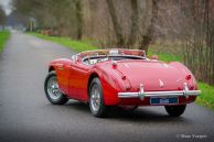 Austin Healey 100/4 BN1 ‘Le Mans’, 1954