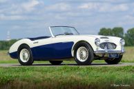 Austin Healey 100/6 BN4, 1959