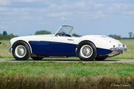 Austin Healey 100/6 BN4, 1959