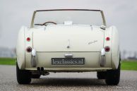 Austin Healey 100/6 ‘two-seater’, 1959