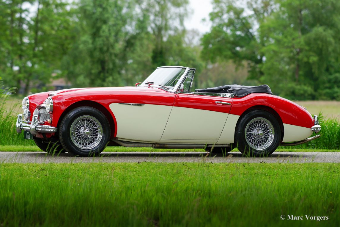 Austin Healey 3000 Racing