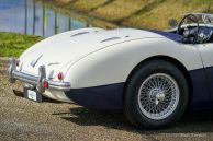 Austin Healey 100/4 BN2, 1955