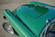 Austin Healey 3000 Mk 3 ph 1, 1965