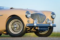 Austin Healey 100/4 BN-1, 1953