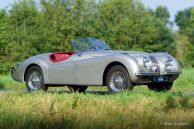 Jaguar XK 120 OTS, 1950