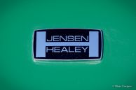 Jensen-Healey, 1976