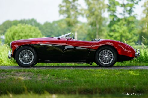 Austin Healey 100/4, 1954