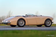 Austin Healey 100/4 BN-1, 1953