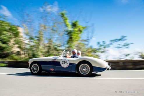 Austin Healey 100/M BN1, 1954 Mille Miglia preparation