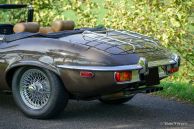 Jaguar E-Type V12 OTS, 1973