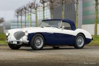 Austin Healey 100/4 BN2, 1955