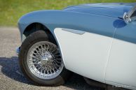 Austin Healey 100/6 (BN4), 1957