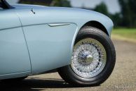 Austin Healey 100/6 BN6, 1958