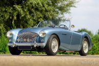 Austin Healey 100/4 BN-1 'Le Mans', 1954